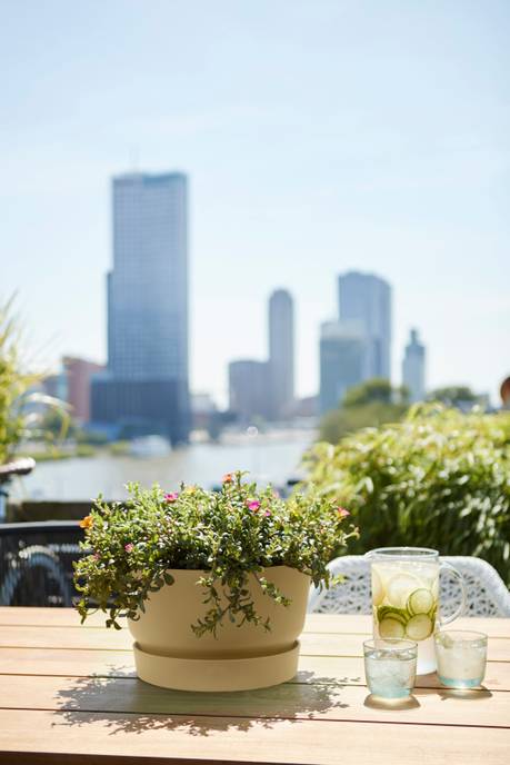 greenville coupe 33cm sable doré